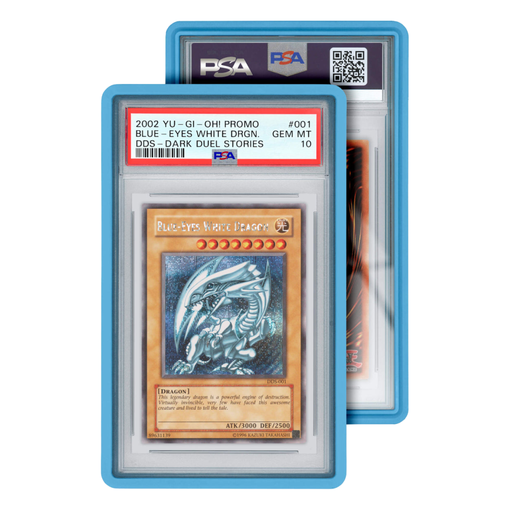 Standard Case (PSA)