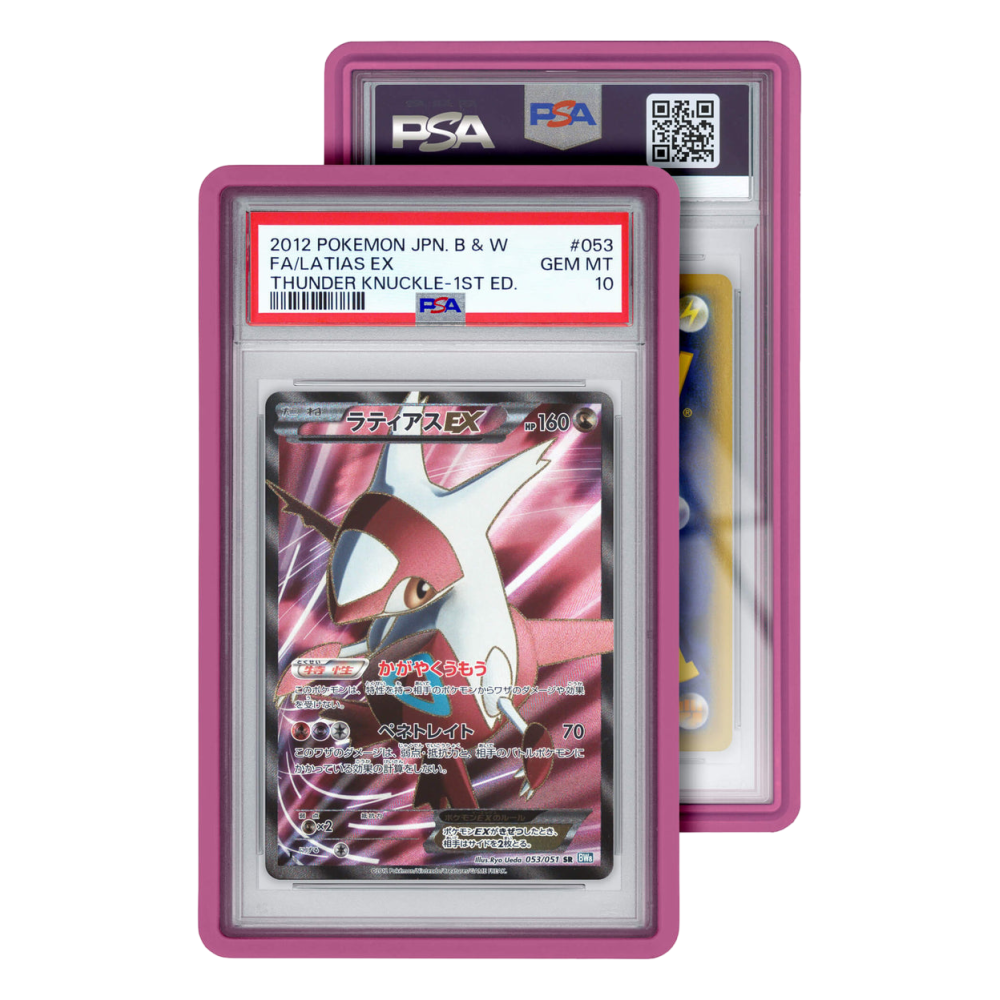Standard Case (PSA)
