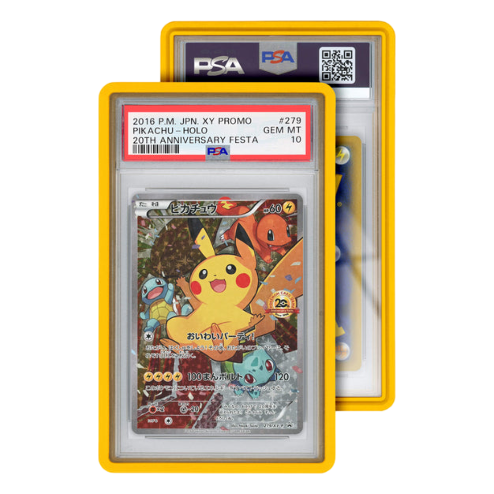 Standard Case (PSA)