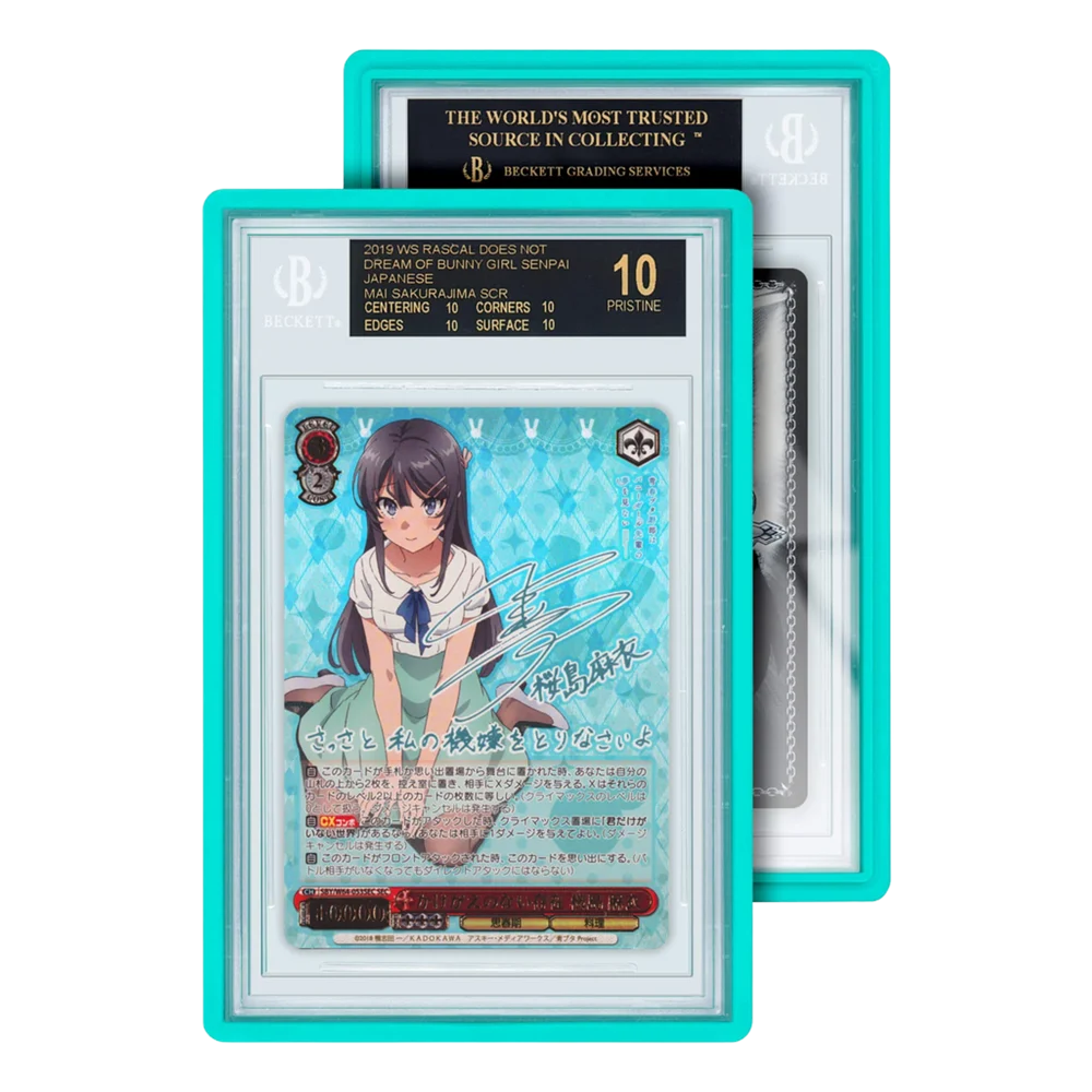 Standard Case (BGS) (9107-mint) Product Variant Image